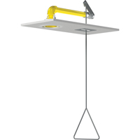 Douches d'urgence &agrave; alimentation horizontale, Montage au plafond Distribution Élite MP