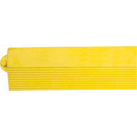 Rampe de bordure pour tapis Distribution Élite MP