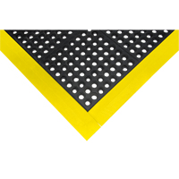Rampe de bordure pour tapis Distribution Élite MP