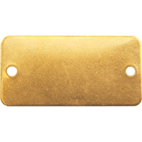 &eacute;tiquettes vierges, Laiton, 3" la x 1" h Distribution Élite MP