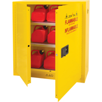 Flammable Storage Cabinet, 24 gal., 2 Door, 43" W x 44" H x 12" D Distribution Élite MP