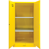 Flammable Storage Cabinet, 60 gal., 2 Door, 34" W x 65" H x 34" D Distribution Élite MP