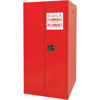 Paint/Ink Cabinet, 96 gal., 5 Shelves Distribution Élite MP