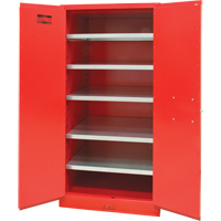 Paint/Ink Cabinet, 96 gal., 5 Shelves Distribution Élite MP