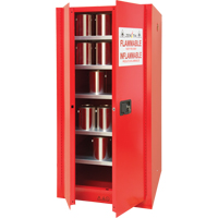 Paint/Ink Cabinet, 96 gal., 5 Shelves Distribution Élite MP