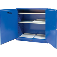 Armoire pour liquides corrosifs, 30 gal., 43" x 44" x 18" Distribution Élite MP