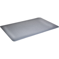Tapis antimicrobiens WD Foodmaster, Lisse, 3' x 4' x 9/16", Gris, Mousse de vinyle Distribution Élite MP