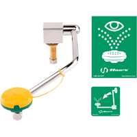 Poste de douche oculaire/faciale, Installation Montage sur &eacute;vier Distribution Élite MP