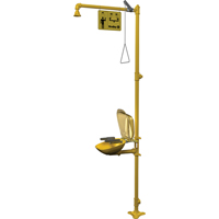 Combinaison de douche d'urgence & douche oculaire Halo Distribution Élite MP