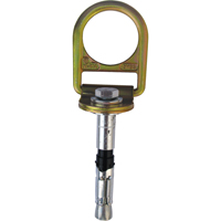 PRO Concrete D-ring Anchor with Bolt, Concrete/D-Ring, Permanent Use Distribution Élite MP