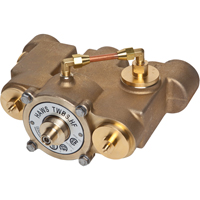 Thermostatic Mixing Valves, 78 GPM Distribution Élite MP