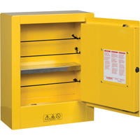 Mini-armoires de s&eacute;curit&eacute; Sure-Grip EX pour produits inflammables, 2 gal., 1 Porte(s), 17" La x 22" h x 8" p Distribution Élite MP