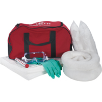Trousse de lutte contre les d&eacute;versements pour v&eacute;hicules, Huile seulement, Sac, Absorbance de 10 gal. US Distribution Élite MP