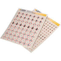 Assortiment d'&eacute;tiquettes avec pictogrammes sgh, Vinyle, Feuille, 1" lo x 1" la Distribution Élite MP