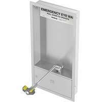 Poste de douche oculaire, Installation Montage mural, Bol Acier inoxydable Distribution Élite MP