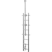 Vi-Go Continuous Ladder Climbing Safety System with Automatic Pass-Through, Stainless Steel Distribution Élite MP