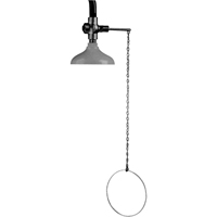 Douche d'urgence suspendue Lifesaver, Montage au plafond Distribution Élite MP
