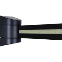 Unit&eacute;s murales Tensabarrier, Plastique, Fixation par vis, 15', Ruban Noir Distribution Élite MP