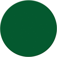 Armor Stripe Lean/5S Markers, Circle, 6" L x 6" W, Green, Plastic Distribution Élite MP