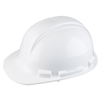 Casque de s&eacute;curit&eacute; Whistler de North, R&eacute;pond aux normes CSA type 1, Suspension Rochet, Non ventil&eacute; Distribution Élite MP