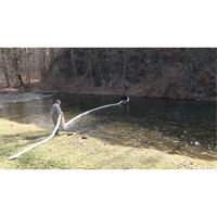 Balle SpillBoa, Huile seulement, 25' lo x 5" la, Absorption 28 gal., 4 /pqt Distribution Élite MP