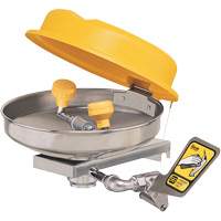 Poste de douche oculaire, Installation Montage mural, Bol Acier inoxydable Distribution Élite MP