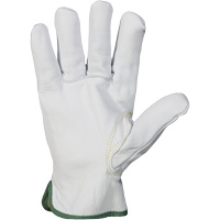 Gants r&eacute;sistant &agrave; la coupure et &agrave; l'arc &eacute;lectrique Endura, T-petit, 10" lo, 36 cal/cm², Niveau 3, NFPA 70E Distribution Élite MP