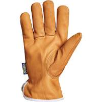Gants de conducteur Endura, Petit, Paume en Cuir fleur de ch&egrave;vre, Thinsulate Distribution Élite MP