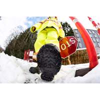 Aide &agrave; la traction robuste, Carbure de tungst&egrave;ne, Traction Crampon, Petit Distribution Élite MP