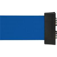 Wall Mount Barrier with Magnetic Tape, Steel, Screw Mount, 7', Blue Tape Distribution Élite MP