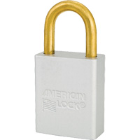 Cadenas de s&eacute;curit&eacute; American Lock, Transparent, Cl&eacute;s identiques, Aluminium, Largeur de 1-1/2" Distribution Élite MP