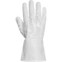 Ground Hog Electro-Static Spray Painting Gloves, Size Large, 11.5" L, Polyurethane Distribution Élite MP