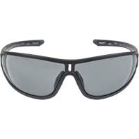 Z3000 Series Safety Glasses, Grey/Smoke Lens, Anti-Fog/Anti-Scratch, ANSI Z87+/Meets/Exceeds CSA Z94.3 Distribution Élite MP