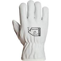 Gants de conducteur doubl&eacute;s pour l'hiver Endura, T-Grand, Paume en Cuir fleur de ch&egrave;vre, Thinsulate Distribution Élite MP