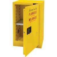 Flammable Storage Cabinet, 12 gal., 1 Door, 23" W x 35" H x 18" D Distribution Élite MP