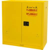 Flammable Storage Cabinet, 30 gal., 2 Door, 43" W x 44" H x 18" D Distribution Élite MP