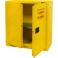 Flammable Storage Cabinet, 30 gal., 2 Door, 43" W x 44" H x 18" D Distribution Élite MP
