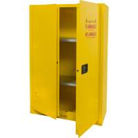 Flammable Storage Cabinet, 45 gal., 2 Door, 43" W x 65" H x 18" D Distribution Élite MP
