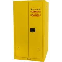 Flammable Storage Cabinet, 60 gal., 2 Door, 34" W x 65" H x 34" D Distribution Élite MP