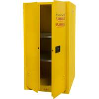 Flammable Storage Cabinet, 60 gal., 2 Door, 34" W x 65" H x 34" D Distribution Élite MP