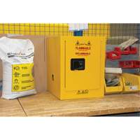Armoire pour produits inflammables, 4 gal., 1 Porte(s), 17" La x 22" h x 18" p Distribution Élite MP