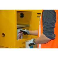 Armoire pour produits inflammables, 4 gal., 1 Porte(s), 17" La x 22" h x 18" p Distribution Élite MP