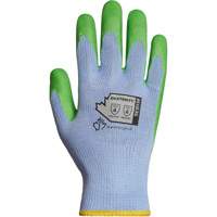 Dexterity&reg; String Knit Gloves, Poly/Cotton, Single Sided, 10 Gauge, 9 Distribution Élite MP