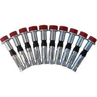 Replacement Bolt Kit for Concrete D-Ring Anchors, Bolt-On, Permanent/Temporary Use Distribution Élite MP