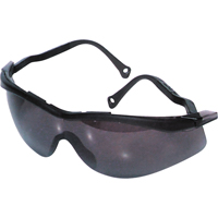 Lunettes de s&eacute;curit&eacute; North The Edge, Lentille Fum&eacute;e, Antibu&eacute;e/Anti-&eacute;gratignures, R&eacute;pond ou surpasse la norme CSA Z94.3 Distribution Élite MP