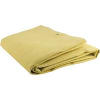 Acrylic Coated Fiberglass Blanket, 6' W x 6' L, Rated Up To 300 °F Distribution Élite MP