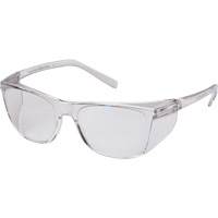 Lunettes de s&eacute;curit&eacute; Legacy, Lentille Transparent, Antibu&eacute;e, ANSI Z87+/R&eacute;pond ou surpasse la norme CSA Z94.3 Distribution Élite MP