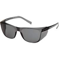Lunettes de s&eacute;curit&eacute; Legacy, Lentille Gris, ANSI Z87+/R&eacute;pond ou surpasse la norme CSA Z94.3 Distribution Élite MP