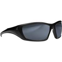 Lunettes de s&eacute;curit&eacute; Robson avec joint, Lentille Miroir argent&eacute;, Anti-&eacute;gratignures/Polaris&eacute;, ANSI Z87+/MCEPS GL-PD 10-12/R&eacute;pond ou surpasse la norme CSA Z94.3 Distribution Élite MP