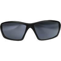 Lunettes de s&eacute;curit&eacute; Robson avec joint, Lentille Miroir argent&eacute;, Anti-&eacute;gratignures/Polaris&eacute;, ANSI Z87+/MCEPS GL-PD 10-12/R&eacute;pond ou surpasse la norme CSA Z94.3 Distribution Élite MP